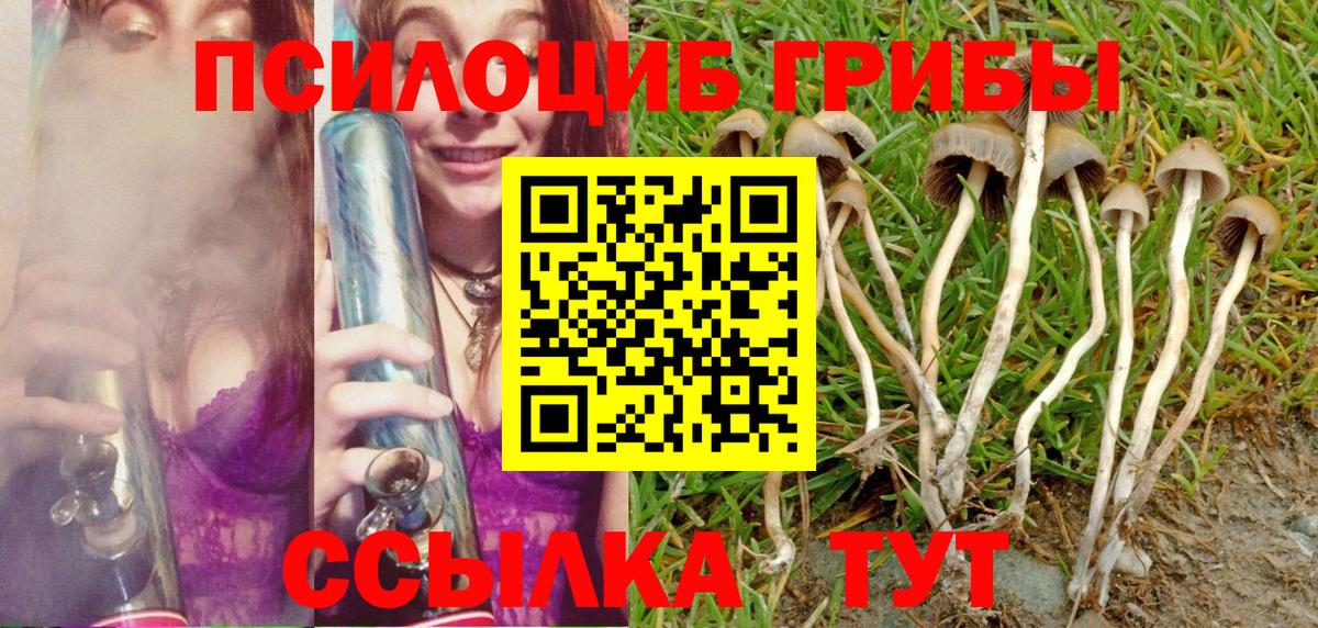 где купить наркоту  Вход с VPN  Россия  Псилоцибиновые грибы Magic Shrooms  Галлюциногенные грибы прущие грибы 