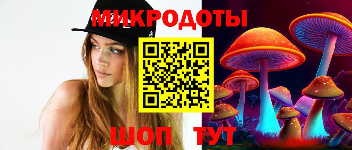 Галлюциногенные грибы прущие грибы Россия