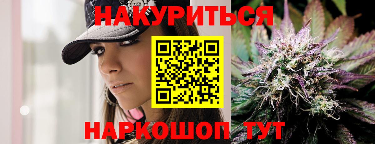 Конопля сатива Россия